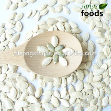 Buy new crop Pumpkin Seeds In Shell